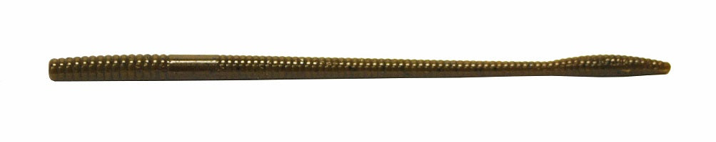 6 inch Money Worm